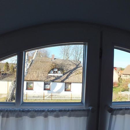 Achterwasserblick Zempin Kültér fotó